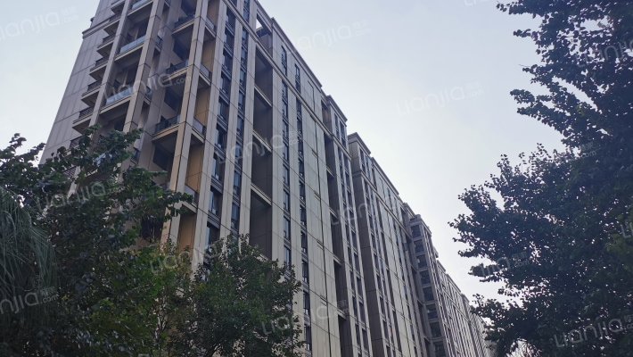 金色黎明一期外景图