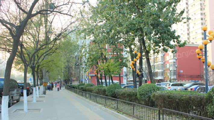 莲花池东路外景图