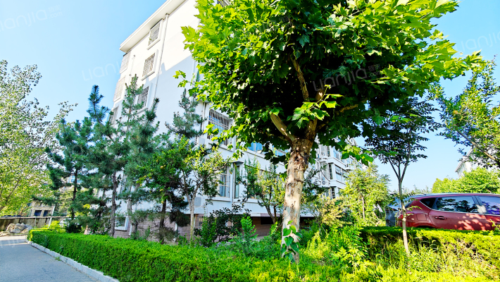 泰山职业技术学院家属院外景图