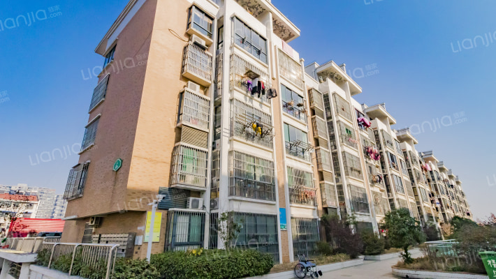 新站中心集贸市场外景图