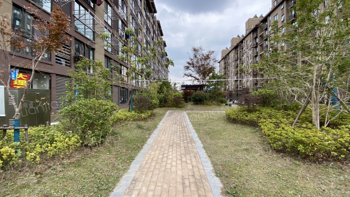 虹东花苑外景图