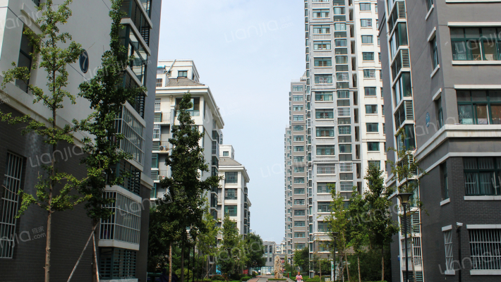 花样年华外景图