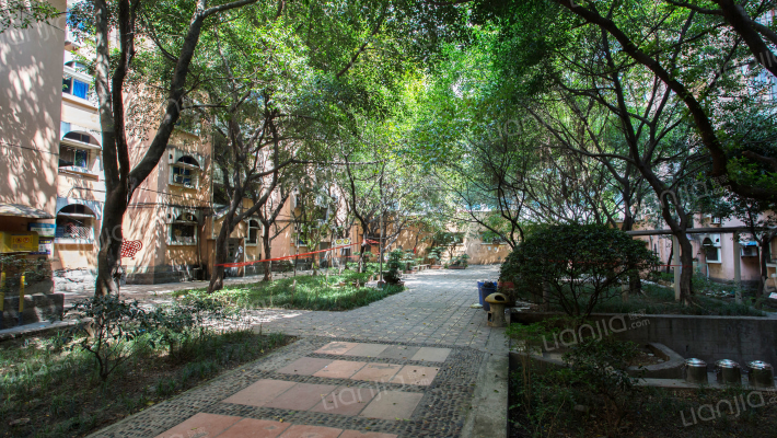 新山村422号外景图