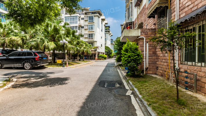 畔江花园外景图