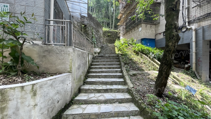 珍珠巷7号外景图