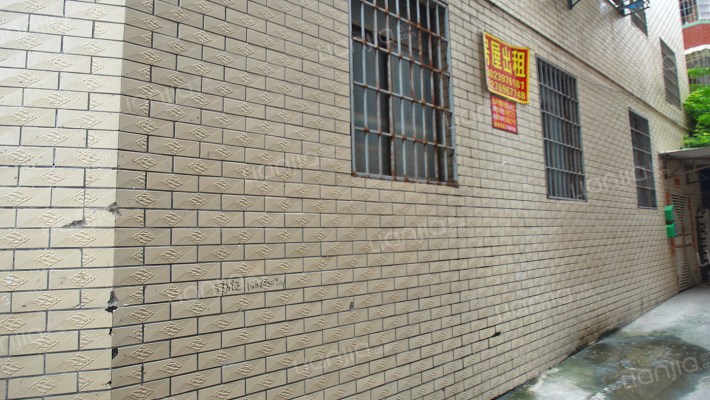 石塘村南片区外景图