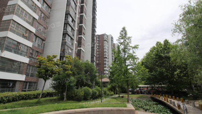 天生赢家外景图