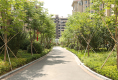 青岛北路小区19