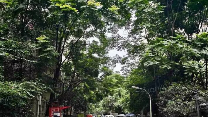 南湖锦苑外景图