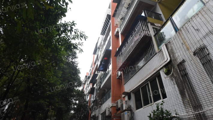 春城四季外景图