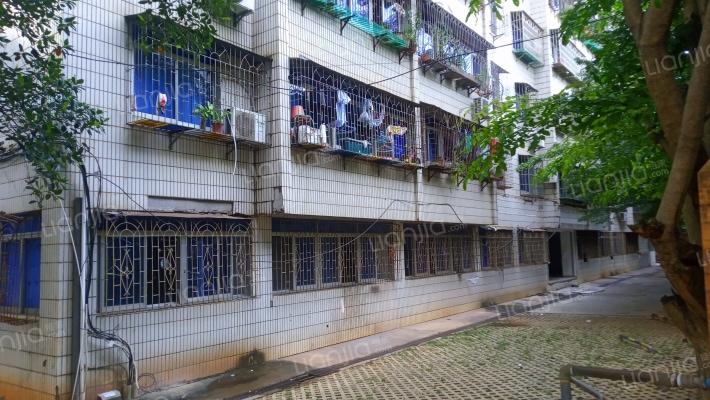 金盘路27号外景图