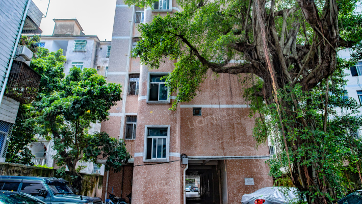 市府宿舍外景图