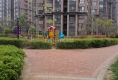 橡树玫瑰城50