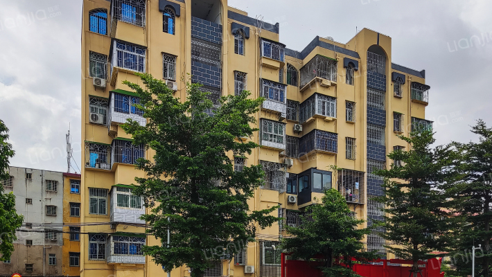 新店教育局集资楼外景图