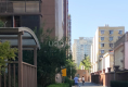 都市春天24