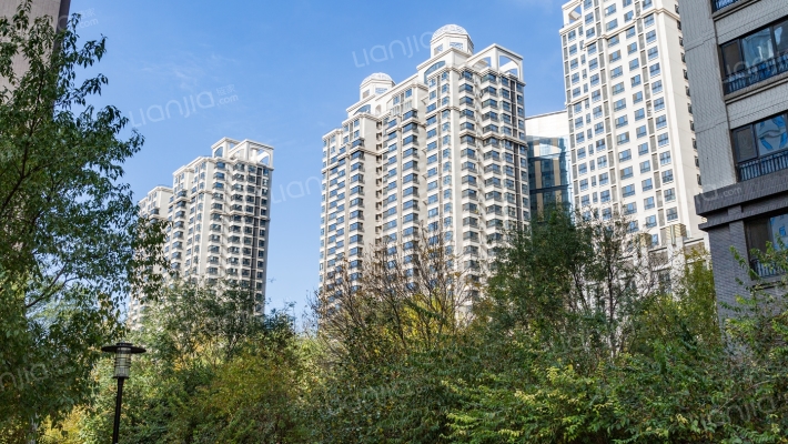 华业东方玫瑰A区外景图