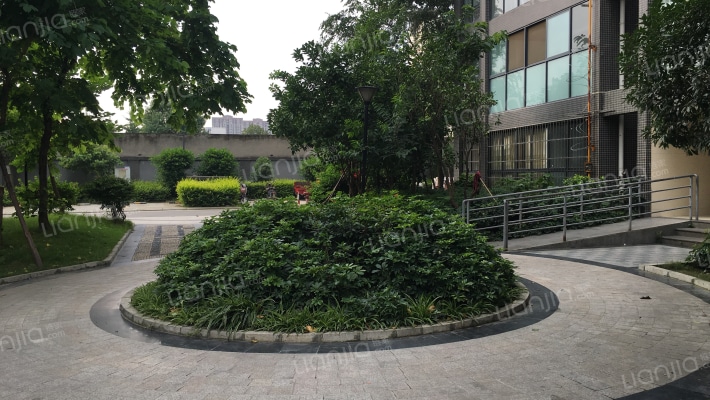 空港之星外景图