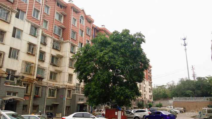 安乐镇3到8号外景图