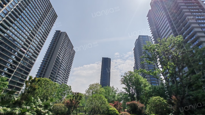 绿城春风金沙外景图