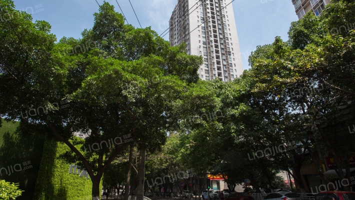 铺金丽城外景图