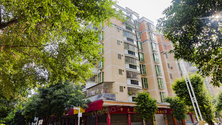 金声花园B区外景图