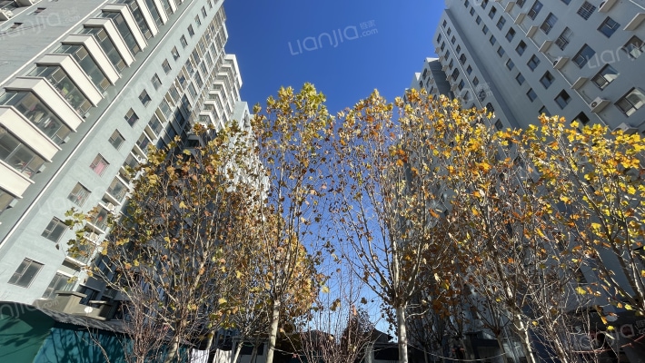 金鑫世纪城外景图