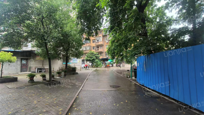 新河西村外景图