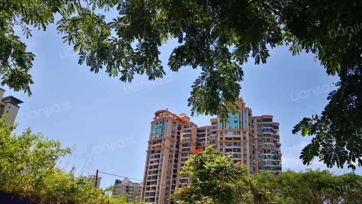 海岸豪庭外景图