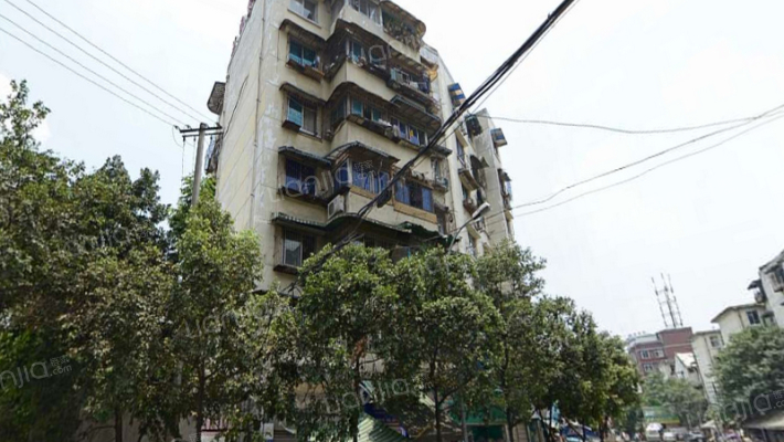 花圃北路11号外景图