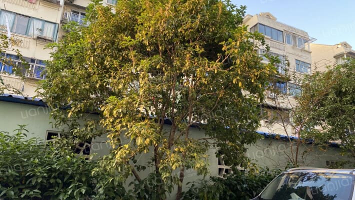 绿梅公寓(莘凌路241弄)外景图