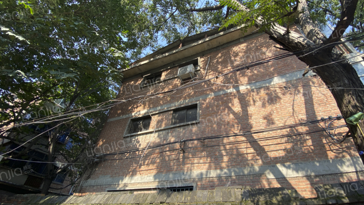 供销社家属院外景图