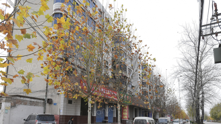 园艺场66号院外景图