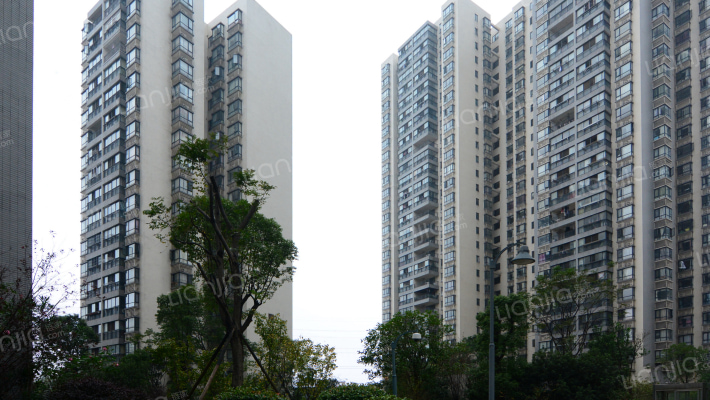 宜居莱茵城外景图