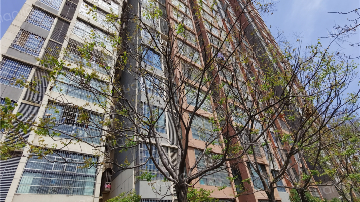 西城御景外景图