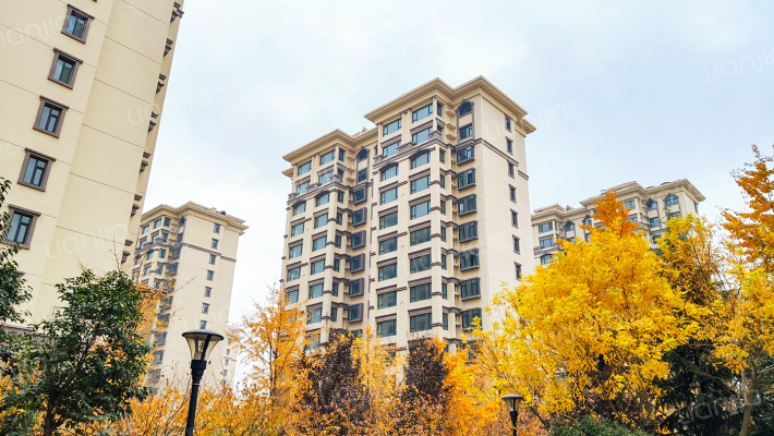 仲村社区外景图