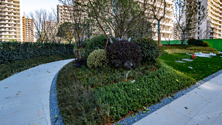 金昌白鹭凤林外景图