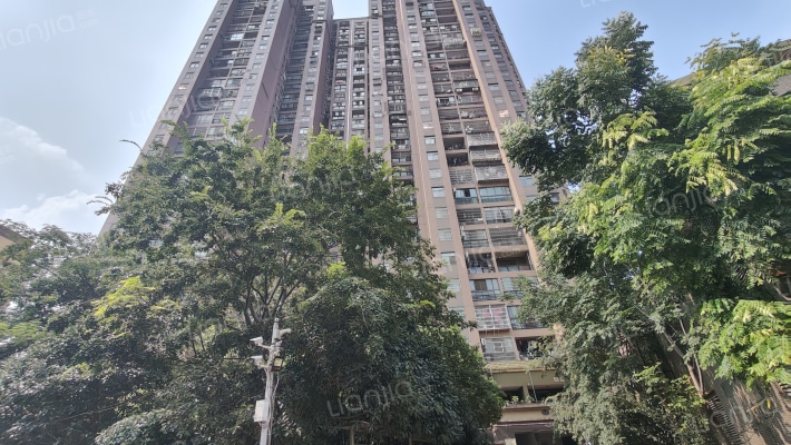 红旗欣居D区外景图