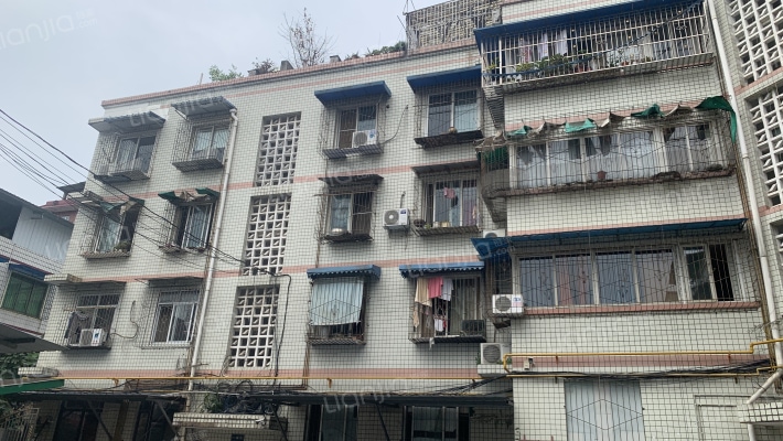 银杏春天B段外景图