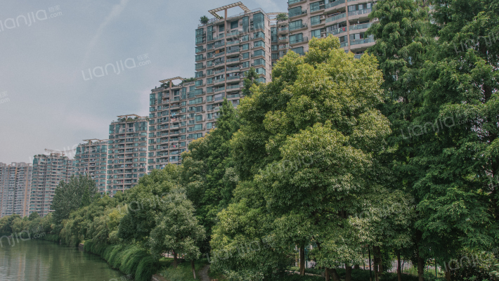 现代雅苑外景图