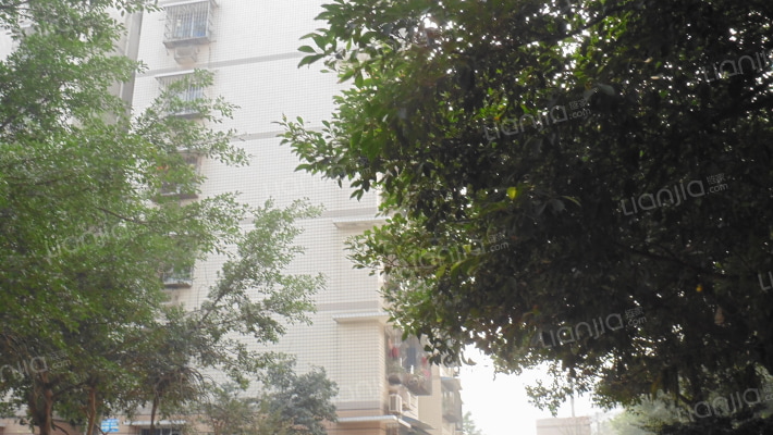 同兴南路122号外景图