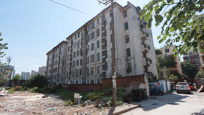 金皖化工厂住宅楼外景图