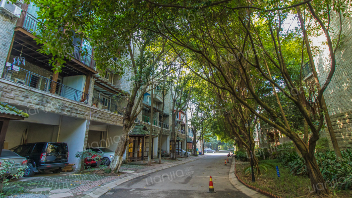 半城中央外景图