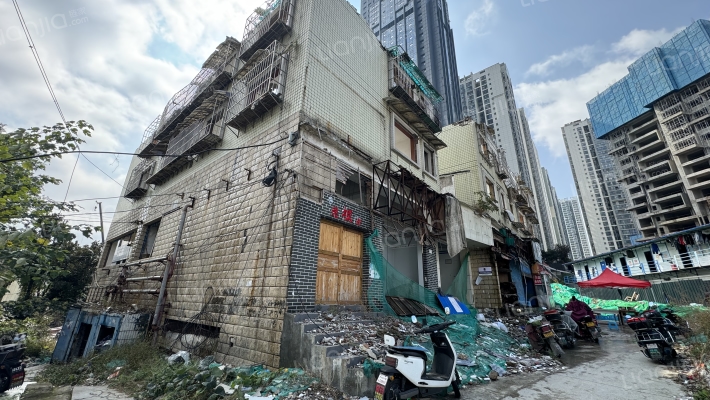 北京路197号外景图