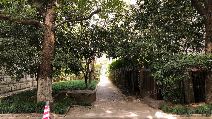 汤臣豪园一期外景图