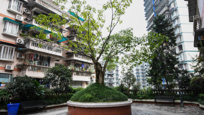 重庆丽锦花园小区 丽锦花园详细信息 二手房 租房 小区顾问 重庆链家