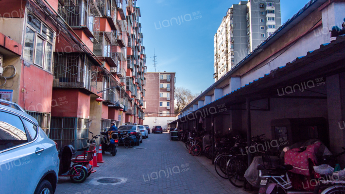 大柳树13号院外景图