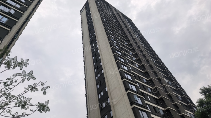 龙湖昱湖1号外景图