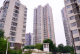 鲁能领秀城C区1