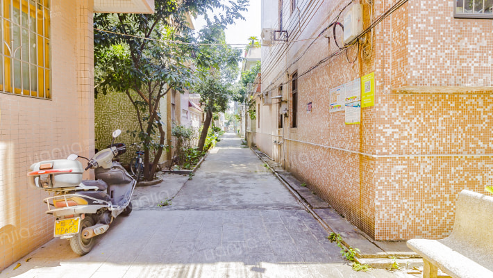 沙园新邨别墅外景图