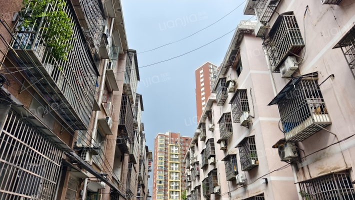 正农小区外景图